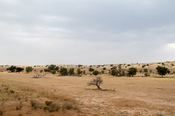 The Auob river bed from Urikaruus Camp, Kgalagadi, South Africa.