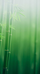 Vertical background featuring prominent, vibrant green bamboo stalks and soft foliage, set against a deeply blurred, misty backdrop with a subtle gradient of light. Excellent for themes of zen.