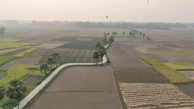 Aerial Top View of Patchwork Farmland in Rural Bangladesh