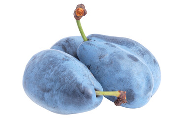 Plums isolated on white background