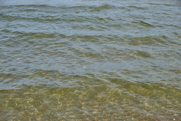 Minimalistic seascape showing soft transparent waves washing onto shallow sandy shore. Sunlit water texture, natural ripples and harmonious pattern create a calming summer mood. Copy space