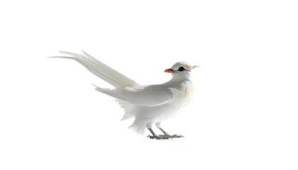 Blurred City Lights An Abstract Evening Landscape with Bokeh Effects