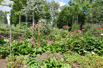 Blumen im egapark von Erfurt