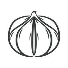 Stylized line art illustration of a garlic bulb, simple and modern design isolated on white background, Vector, illustration