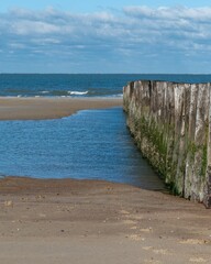 Fototapeta premium Wooden breakwaters on the North Sea