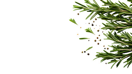Fototapeta premium Fresh Rosemary Sprigs with Pepper on Transparent Background