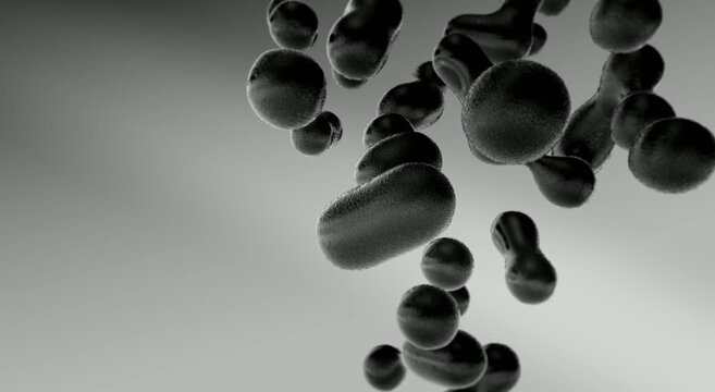 Abstract organic black shapes against neutral grey background. Smooth fluid motion with soft geometry and surreal texture, blending minimal design and meditative visual structure