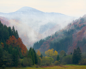 mystery norning in mountain valley