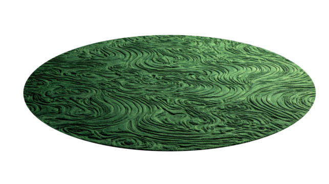 Green oval carpet featuring an abstract textured pattern with embossed swirls and organic wave shapes on a transparent background, offering a soft floor covering element, png