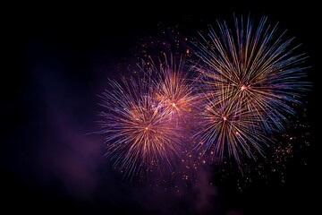 Vibrant fireworks illuminate the dark night sky with a spectacular burst of color and light