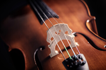 Fototapeta premium Cello on dark background
