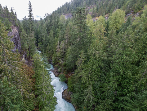 High angle view of forest and Cheakamus River 
