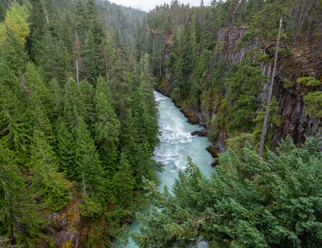 High angle view of forest and Cheakamus River