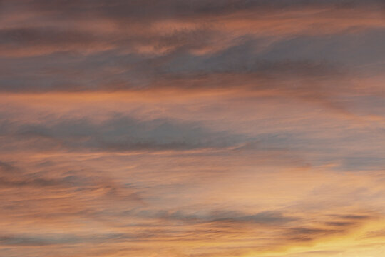 Golden clouds against blue sky at sunset