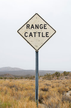Bullet riddled sign in cattle country