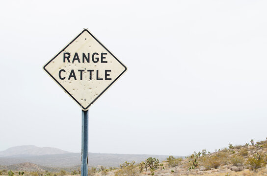 Bullet riddled sign in cattle country