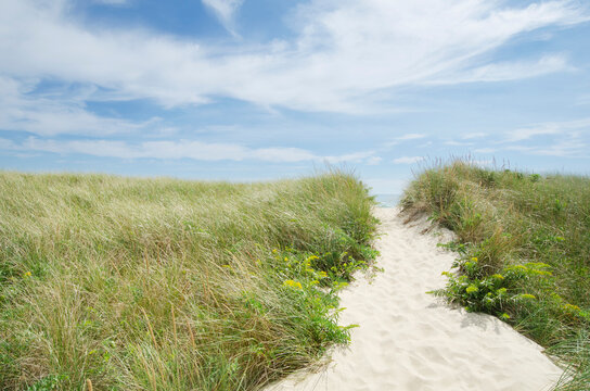 Sandy path to beach and marram grass
