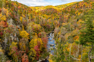 Fall in North Carolina, USA...