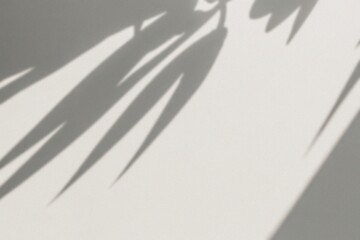 The shadows of leaves cast across a textured surface, showcasing an interplay of light and shadow