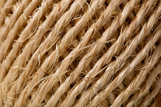 Close-up of tightly wound twine