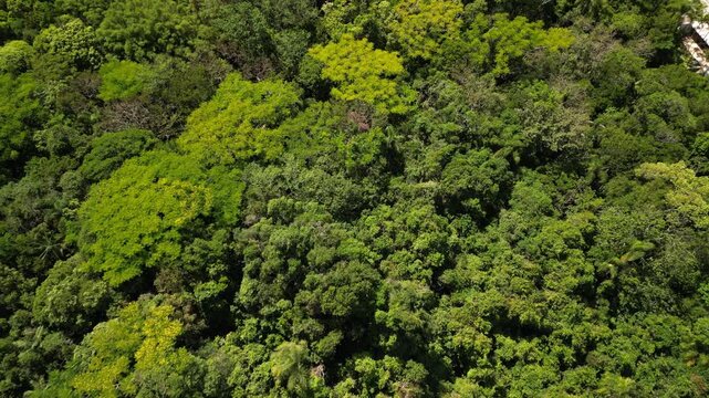 Canto da Lagoa Florian&oacute;polis Santa Catarina