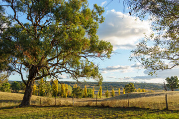 Late afternoon sun shines over tranquil rural scene in Autumn