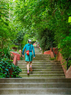 Rear view of woman walking up treelined stairs