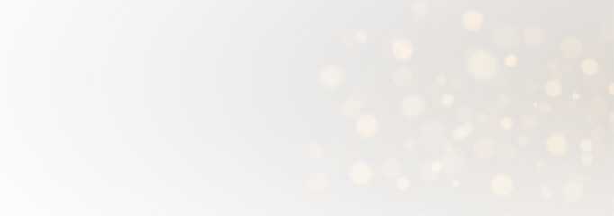 Festive Christmas Light Dust