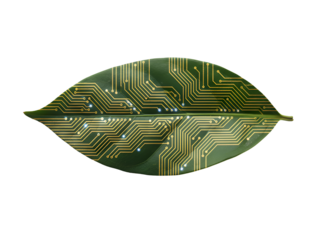 Green Leaf Circuit Board Design: Nature's Digital Fusion & Sustainable Tech Innovation Concept isolated transparent on White Background