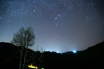 A tree is in the foreground of a dark sky Doi maesalong, Chiang rai,thailand