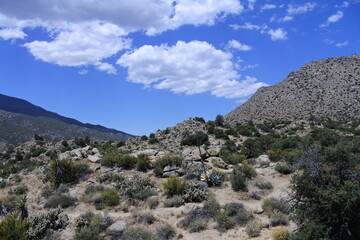 Panorama am Cahuilla Téewwenet Vista Point