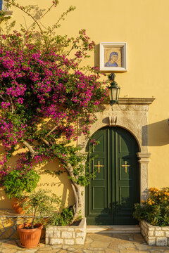 Bougainvillea growing next to green door in courtyard of monastery