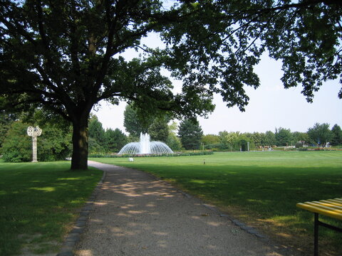 Baum mit Schatten und Springbrunnen im egapark Erfurt