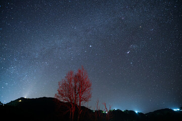 A tree is in the foreground of a starry sky Doi maesalong, Chiang rai,thailand