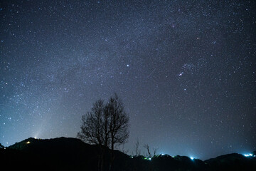A tree is in the middle of a field of stars Doi maesalong, Chiang rai,thailand
