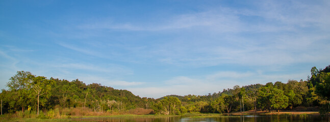 Panoramic Nature Background: Green Trees, Calm Water, and Clear Sky
