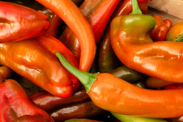 Close up of freshly picked chillies and peppers of various varieties
