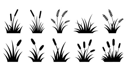 Various silhouetted plants, including diverse types of grass, reeds, and cattails, creating a natural and organic design element set.