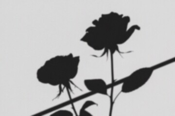 Elegant silhouettes of blooming roses against a minimalist backdrop. These floral shadows evoke a sense of serenity and refined beauty. 