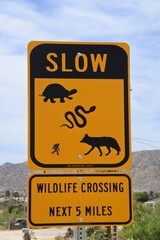 Vorsicht - Wilde Tiere im Joshua Tree, Nationalpark