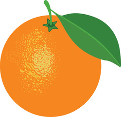 Vibrant Citrus Ripe Orange Delight