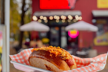 Hot Dog with onion crispy
