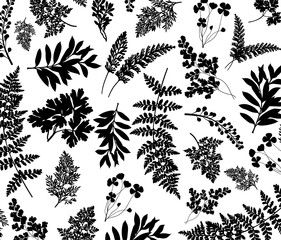 background with silhouettes of forest grasses and ferns. A botanical illustration with leaves and branches on a nature theme.