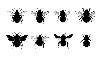  Bees Collection: Diverse Insect Silhouettes
