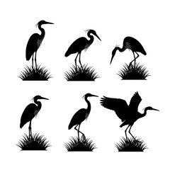Heron and crane bird silhouettes on grass vector set