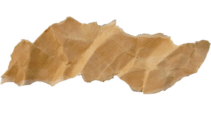 Dry oak leaf isolated on a white background