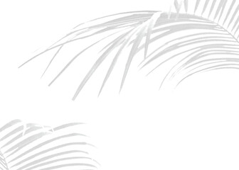 Vector Transparent Shadow Tropical Leaf Overlay Effect for Realistic Mockups, Inspired Design Elements