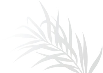 Vector Transparent Shadow Leaf Overlay Effect for Realistic Elegant Mockups, Inspired Design Elements