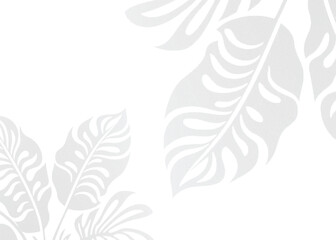 Transparent PNG Monstera image Leaf Shadow Overlay Vector for Mockups with Natural Light Effects and Design Details