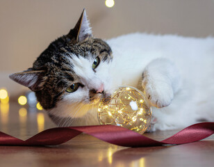 Cat playing with a glass ornament and twinkling fairy lights with a red ribbon. Ai